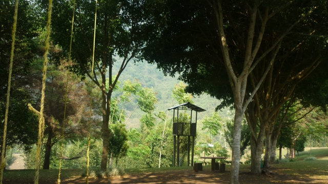  Rest area 